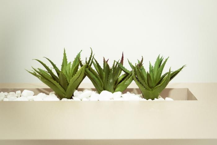 Benefits Of Aloe Vera In Diverticulitis