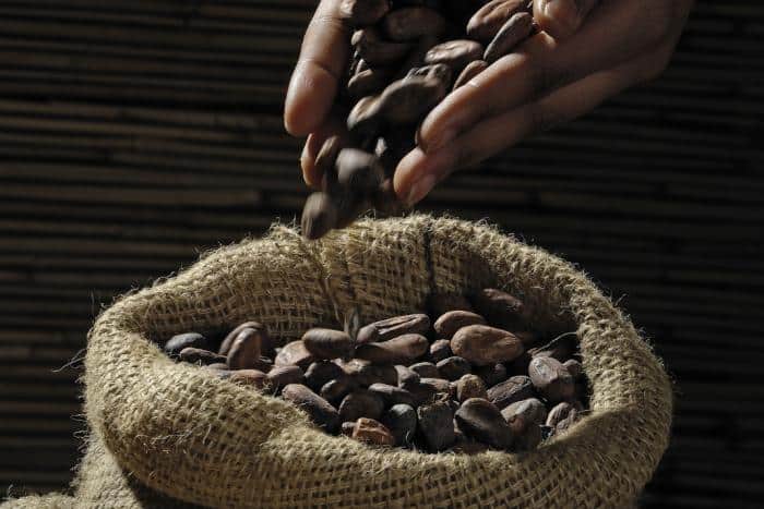 Benefits of Cacao Beans for Weight Loss