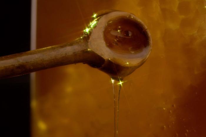 Manuka Honey In Bacterial Infections