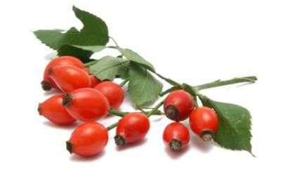 rosehip oil for stretch marks