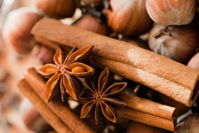 Cinnamon for Gastritis