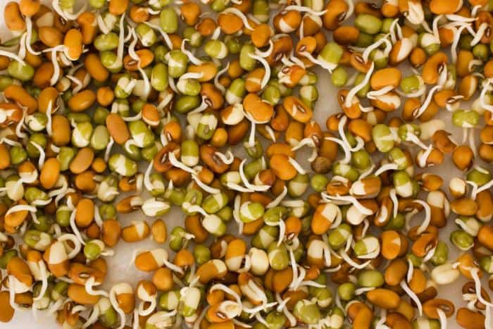 Sprouts Can Help In Weight Loss