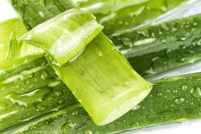 Anti-Inflammatory Benefits of Aloe Vera