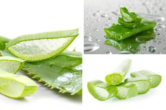 Benefits of Aloe Vera in Seborrheic Dermatitis