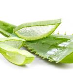 Benefits of Aloe Vera in Stomach Ulcers