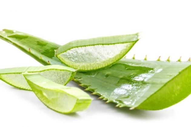 5 Proven Benefits Of Aloe Vera In Stomach Ulcers