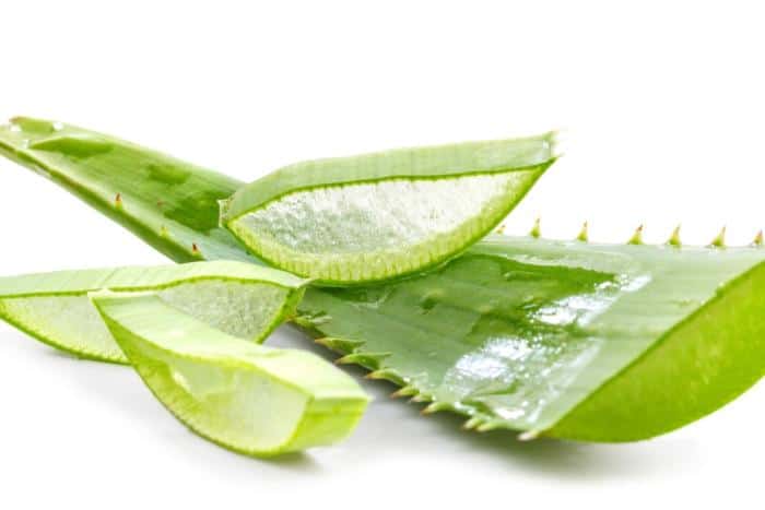 Benefits of Aloe Vera in Stomach Ulcers