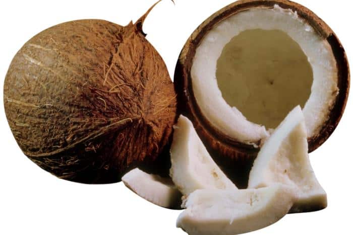 Coconut Mayonnaise