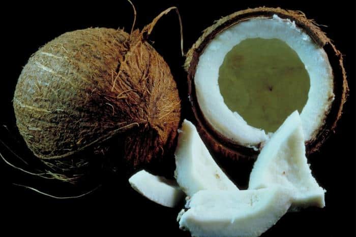 Coconut for Constipation