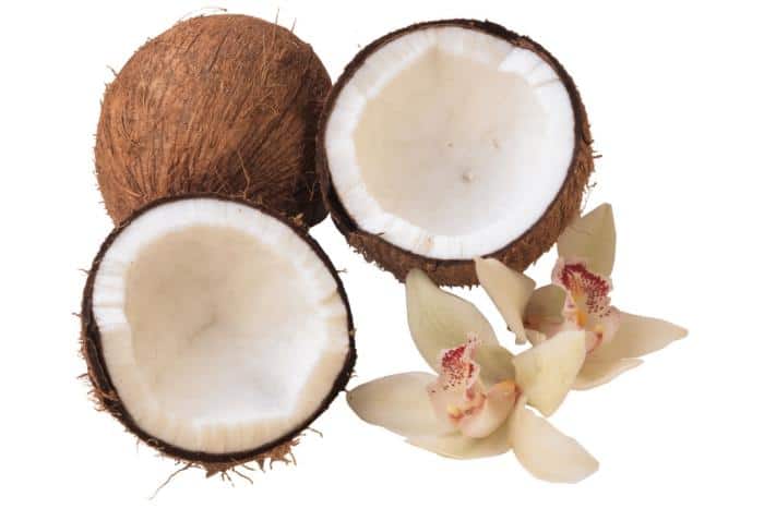 Coconut Oil Benefits as an Antioxidant