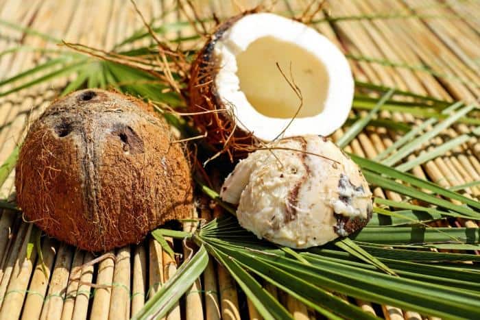 Coconut oil Promotes Intestinal Health