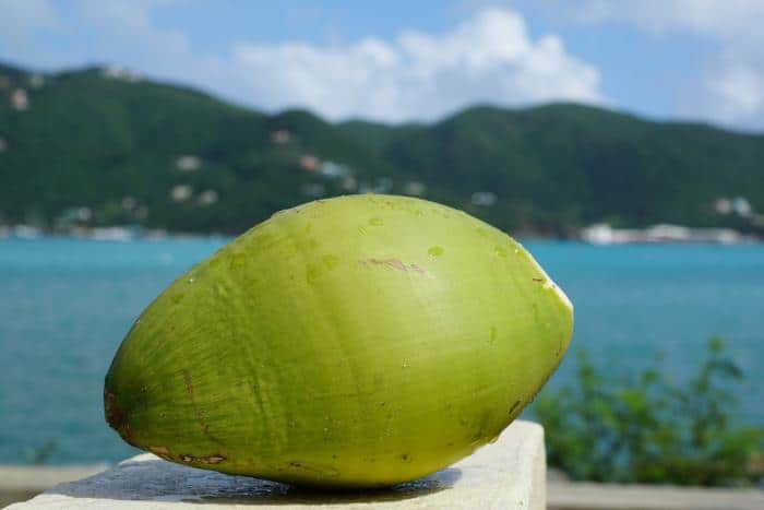 Coconut Oil for Lice