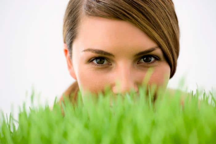 Wheatgrass Benefits in Diabetes