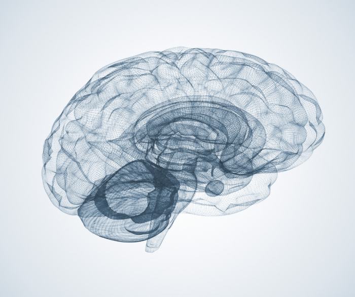 chitosan brain