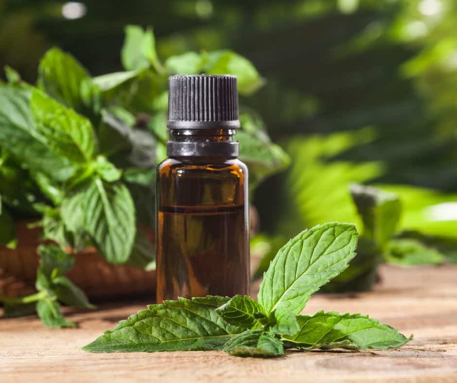 Best essential oils for relieving anxiety