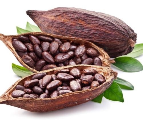 Benefits Of Cocoa For Heart Health – Healthyy!