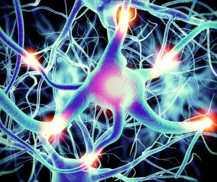 Best Essential Oils for Nerve Pain & How to Use